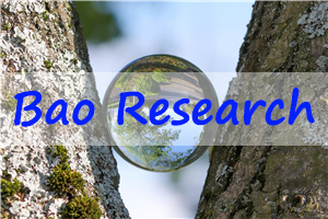 Baoresearch Cover